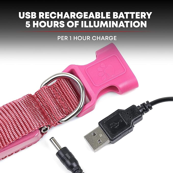 ILLUMISEEN LED Dog Collar USB Rechargeable - Bright & High Visibility Lighted Glow Collar for Pet Night Walking - Weatherproof, in 6 Colors & 6 Sizes (Pink Medium)