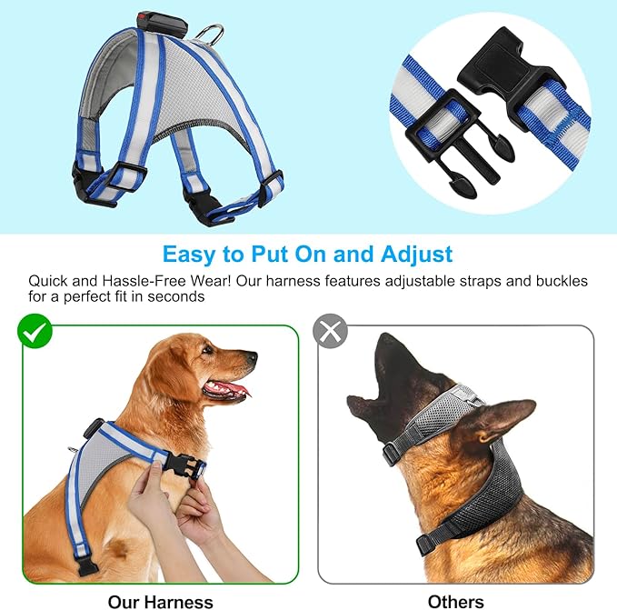Visinite LED Dog Harness, USB Rechargeable Light Up Dog Vest, 2 Illuminate Modes Glow in The Dark Dog Harness, Adjustable Lighted Pet Harness Light for Night Walking Safety(Blue, M)