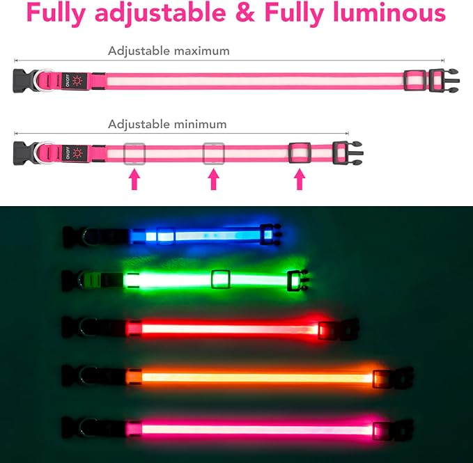 Vizpet LED Dog Collar, Light Up Dog Collar Adjustable USB Rechargeable Super Bright Safety Light Glowing Collars for Dogs (Small, Pink)