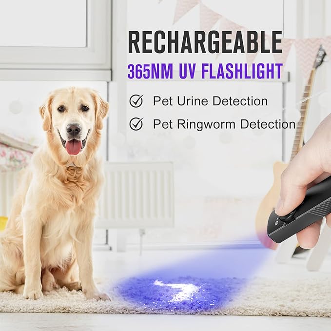 OLIGHT Arkfeld UV Rechargeable EDC Flashlight, 1000 Lumens White LED and 365nm Blacklight Combo for Outdoors, Emergency, Working, Pet Urine Detection (Black CW)