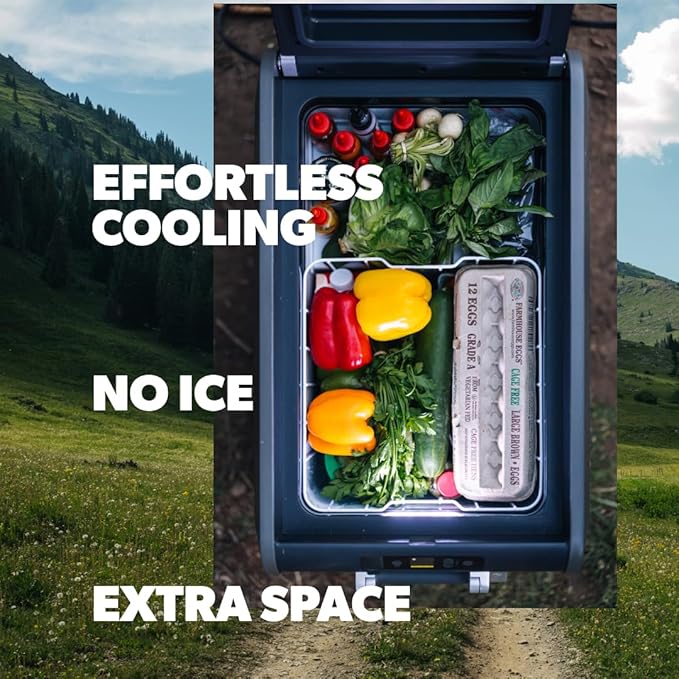 Dometic CFX Portable Electric Cooler and Freezer, Powered by AC/DC or Solar