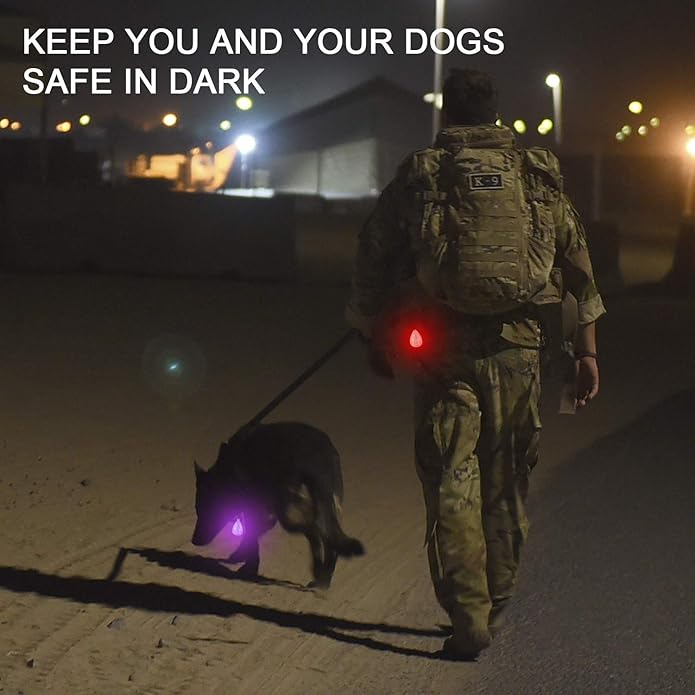 2-Pack Rechargeable Dog Light, Dog Collar Light,Waterproof ,3 Modes LED Dog Safety Lights,Multiple Color Options,Clip On Collar, Leash or Harness,Night Light for Running ,Climbing,Camping or Bike