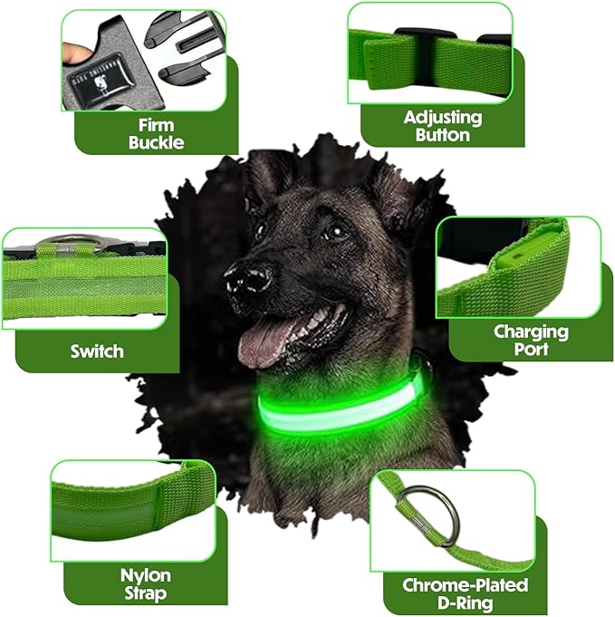 Light Up Dog Collar – Reflective, Adjustable, Rechargeable Electronic Glow Pet Collars – Bright, Comfortable, High Visibility LED Dog Collar for Night Safety, Outdoor Walk, Flashing Fun, Green, Medium