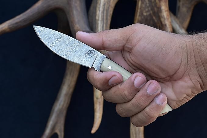 Knives Ranch 7" Hunting Knife, EDC Fixed Blade - Bone Handle and Heavy Duty Horizontal/Vertical Carry Sheath (3128-B)