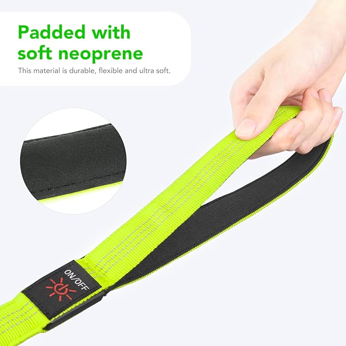 Colaseeme Light Up Dog Leash, LED Pet Leashes USB Rechargeable, Glow Safety Dogs Lights at Night (4FT,Green-New)