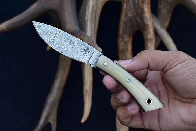 Knives Ranch 7" Hunting Knife, EDC Fixed Blade - Bone Handle and Heavy Duty Horizontal/Vertical Carry Sheath (3128-B)