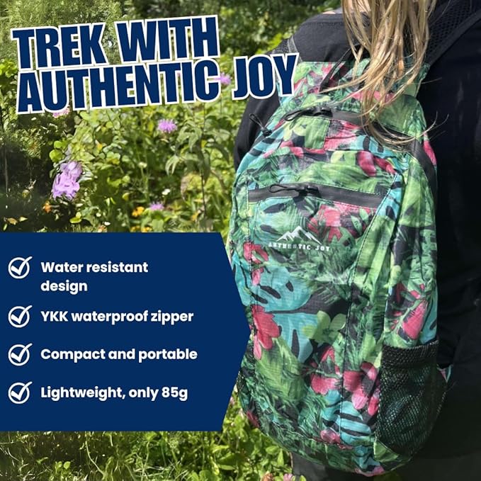 Authentic Joy 20L Water Resistant Lightweight Hiking Daypack, Packable Backpack, Multiple Colors (Lake Blue)