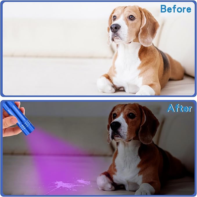 Riakrum 12 Pieces UV Blacklight Flashlights LED Handheld Mini Light Flashlight Small Portable Detector 395nm 9 LED Light for Pet, Carpet Dry Stains Detection, Spot Scorpions, Resin Curing(Blue)