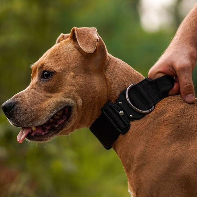 Spark Paws Tactical Dog Collar - Heavy Duty, Premium Quality, Thick and Durable for Large and Medium Dogs - Black - S