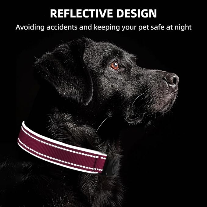 Airtag Dog Collar - 100% Waterproof AirTag Holder, Reflective, Soft Padded, Everlasting GPS Collar for Small to Large Dogs (Hot Pink, L)