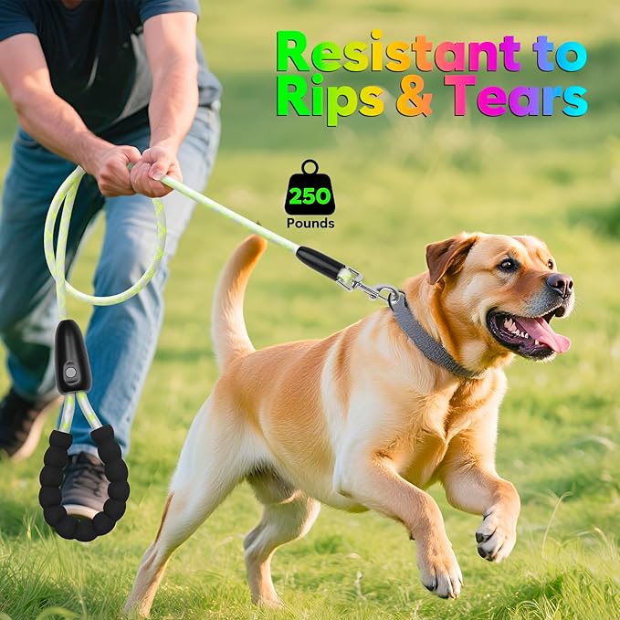 YFbrite Waterproof Light up Dog Leash with 15 Flashing Modes - Super Bright LED Dog Leash for Small Medium Large Dogs - Type-c Rechargeable Dogs Leashes Light (Multi-Color, 4FT (120cm))
