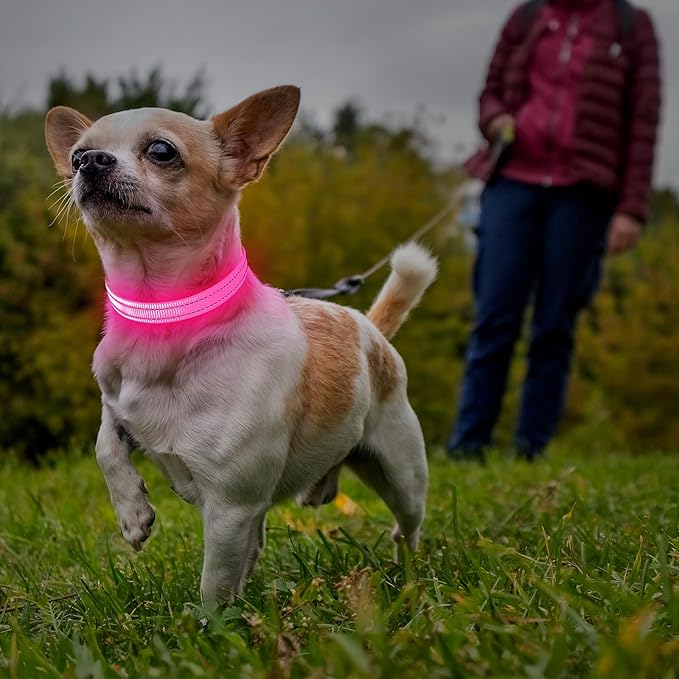 Illumifun LED Cat Collar, USB Rechargeable Light Up Dog Collar, Adjustable Safety Collar Light for Small Dogs Cats Glow in The Dark (Pink, X-Small)