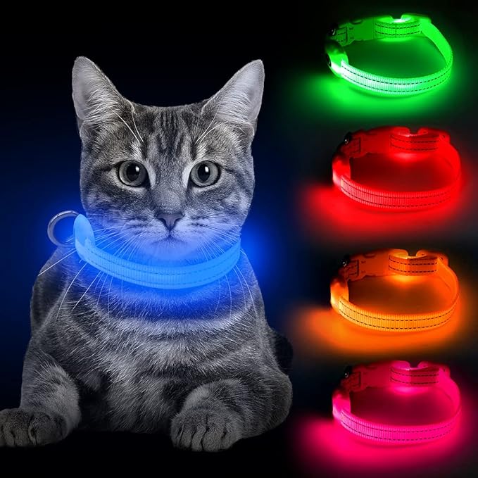 BSEEN Light Up Dog Collar, Rechargeable LED Dog Collar Reflective Glowing Pet Collar for Puppies & Cats, Safety Dog Lights for Night Walking (Blue)