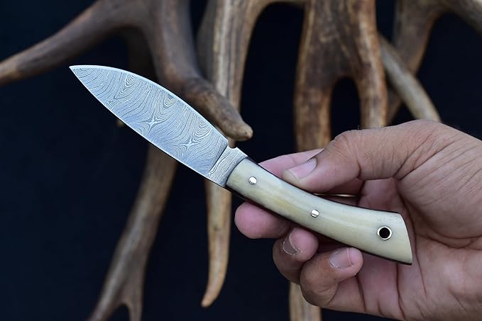 Knives Ranch 7" Hunting Knife, EDC Fixed Blade - Bone Handle and Heavy Duty Horizontal/Vertical Carry Sheath (3128-B)
