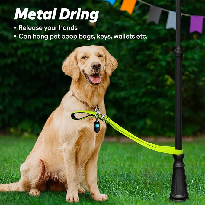 4 Ft LED Dog Leash, Rechargeable Light Up, Safety Glow in The Dark, Nylon Reflective with Padded Handle for Small to Large Pets