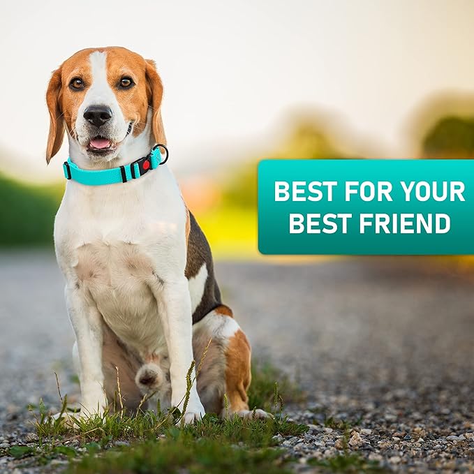 Adjustable Dog Collar with QR Code Dog Tag ID Attached - Made in USA - Honeycomb Waterproof Heavy Duty Dog Collar with Safe Lock Buckle - Odor Proof Pet Collar for Dogs with Strong Zinc D Ring