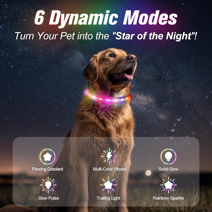 LED Dog Collar, Light Up Dog Collar, USB Rechargeable - Brightest Dog Lights for Night Walking, 6 Light Modes, Adjustable for Dog Safety(Small, Candy Pink)