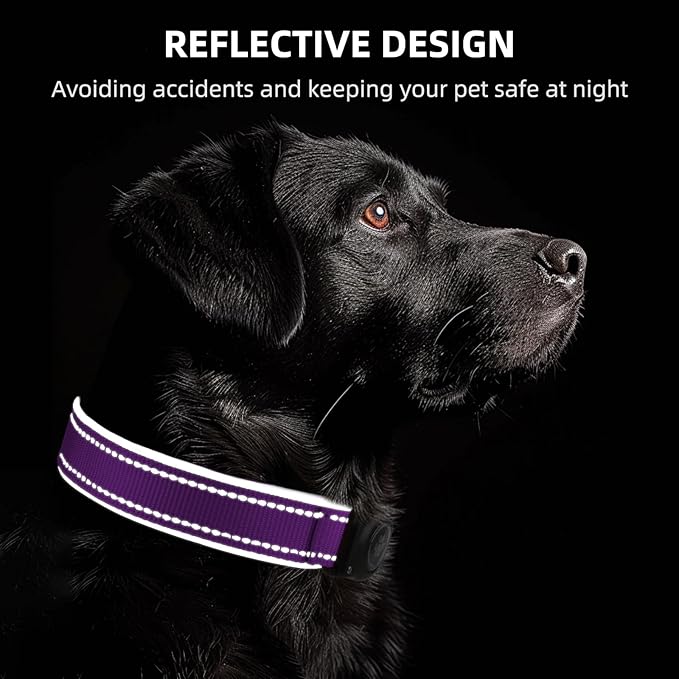 Airtag Dog Collar - 100% Waterproof AirTag Holder, Reflective, Soft Padded, Everlasting GPS Collar for Small to Large Dogs (Purple, L)