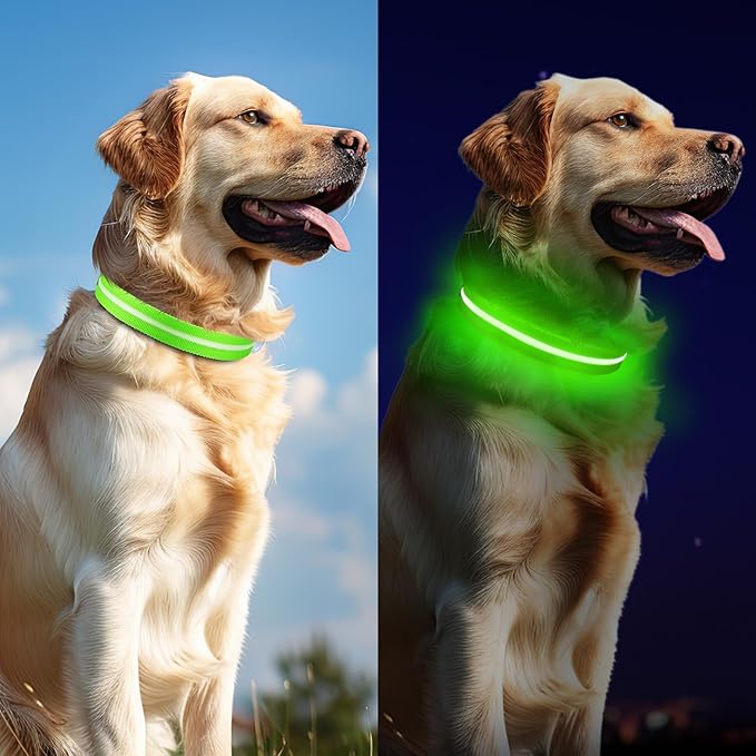 Light Up Dog Collar, Adjustable USB Rechargeable Glow in Dark Dog Collar ,Waterproof Dog Collars for Small Dogs (Green, Small)