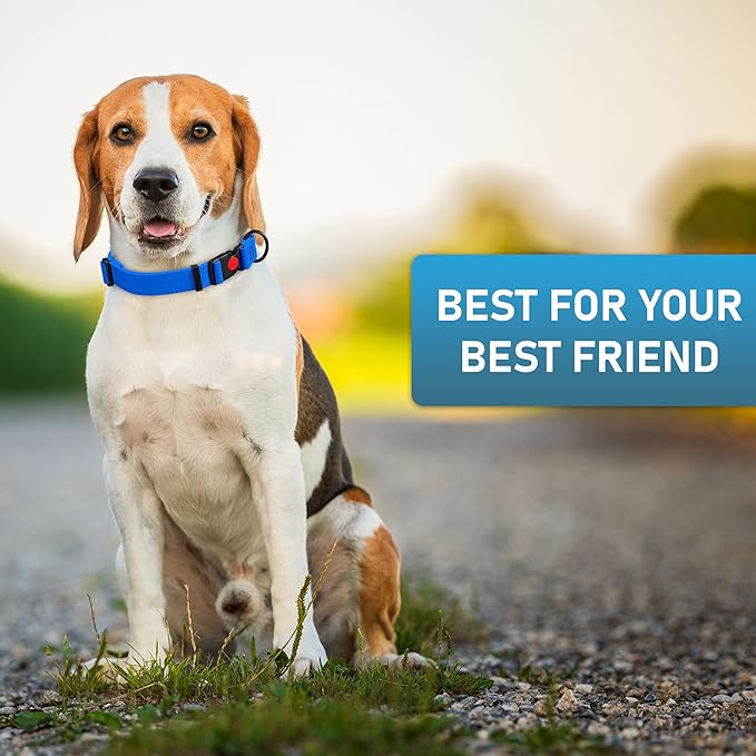 Adjustable Dog Collar with QR Code Dog Tag ID Attached - Made in USA - Honeycomb Waterproof Heavy Duty Dog Collar with Safe Lock Buckle - Odor Proof Pet Collar for Dogs with Strong Zinc D Ring