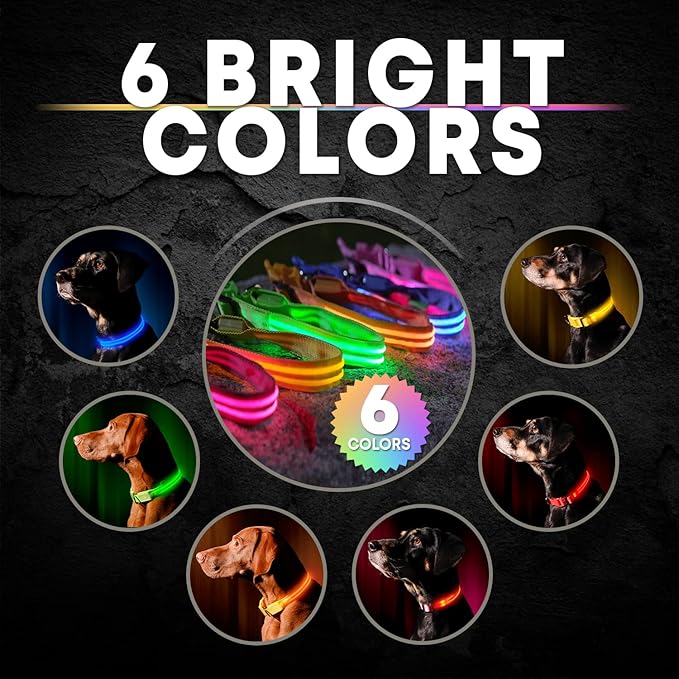 ILLUMISEEN LED Dog Collar USB Rechargeable - Bright & High Visibility Lighted Glow Collar for Pet Night Walking - Weatherproof, in 6 Colors & 6 Sizes (Red Medium)