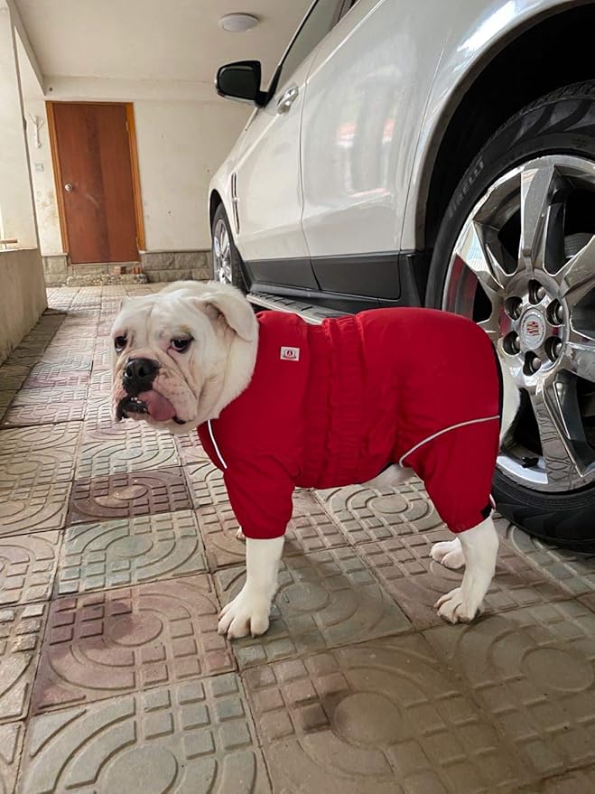 Dogs Waterproof Jacket, Lightweight Waterproof Jacket Reflective Safety Dog Raincoat Windproof Snow-Proof Dog Vest for Pugs English French Bulldog American Pit Bull Red B-S