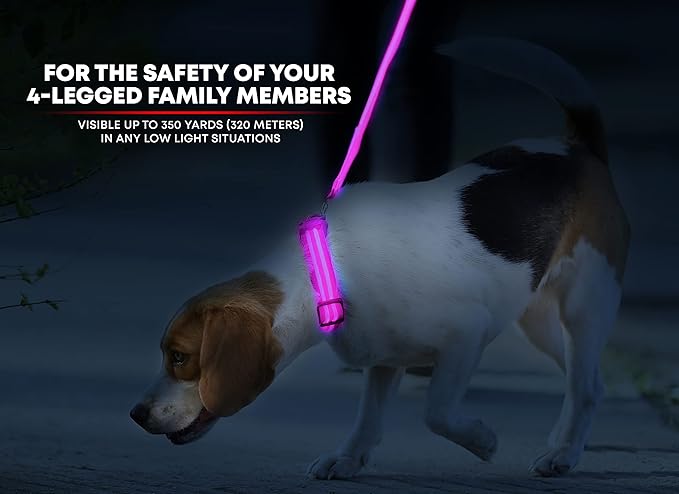 ILLUMISEEN LED Dog Collar USB Rechargeable - Bright & High Visibility Lighted Glow Collar for Pet Night Walking - Weatherproof, in 6 Colors & 6 Sizes (Pink Medium)
