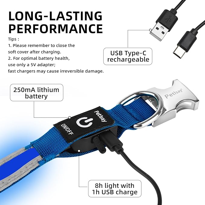 PetIsay LED Dog Collar Metal Buckle - Heavy Duty Light up Collars - Rechargeable IP68 Waterproof - Lighted Dog Collar for Night Walking, Hiking, Camping (Large, Blue)
