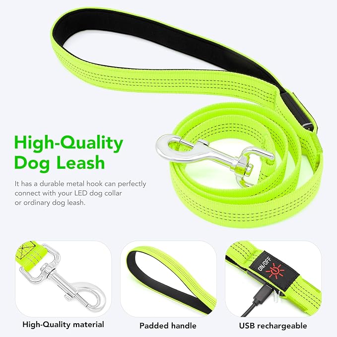 Colaseeme Light Up Dog Leash, LED Pet Leashes USB Rechargeable, Glow Safety Dogs Lights at Night (4FT,Green-New)