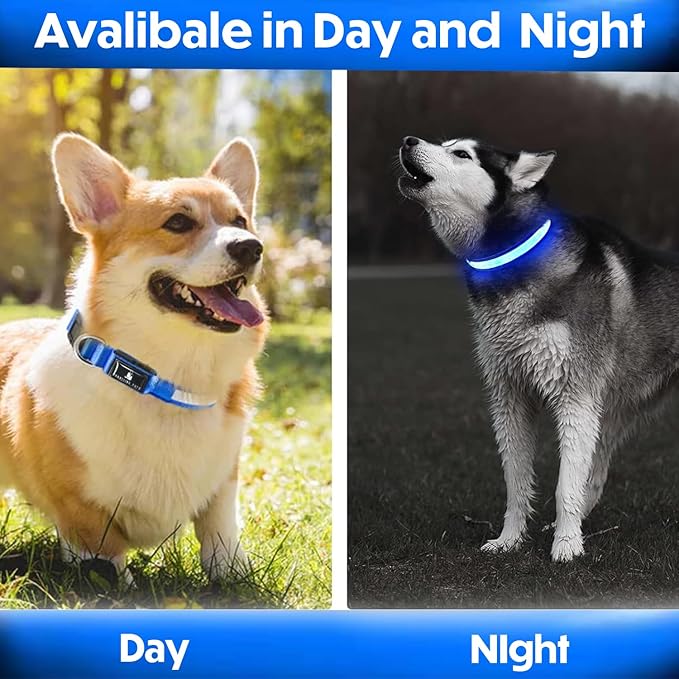 Light Up Dog Collar – Reflective, Adjustable & Rechargeable Electronic Glow Pet Collars – Bright, Comfortable, High Visibility LED Dog Collar for Night Safety, Outdoor Walk & Flashing Fun, Blue, Small