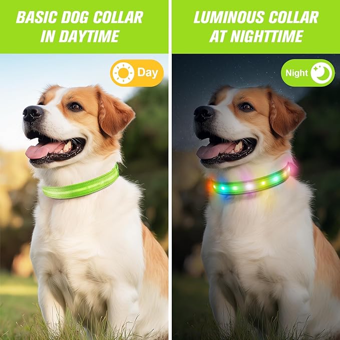 LED Dog Collar, Light Up Dog Collar, USB Rechargeable - Brightest Dog Lights for Night Walking, 6 Light Modes, Adjustable for Dog Safety(Large, Neon Green)