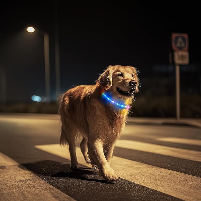 LED Dog Collar, Light Up Dog Collar, USB Rechargeable - Brightest Dog Lights for Night Walking, 6 Light Modes, Adjustable for Dog Safety(Small, Royal Blue)