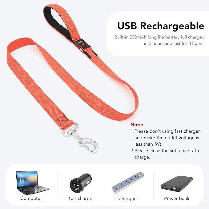 Colaseeme Light Up Dog Leash, LED Pet Leashes USB Rechargeable, Glow Safety Dogs Lights at Night (4FT,Orange)