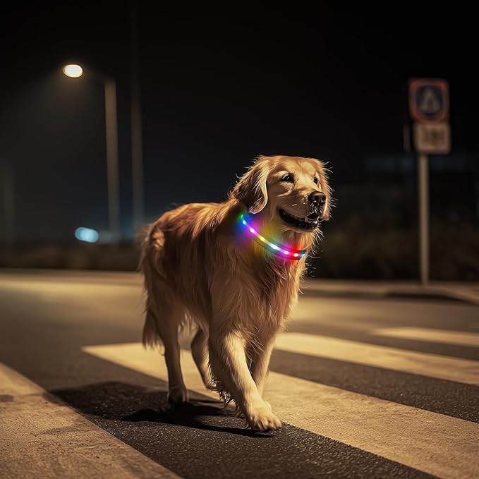 LED Dog Collar, Light Up Dog Collar, USB Rechargeable - Brightest Dog Lights for Night Walking, 6 Light Modes, Adjustable for Dog Safety(Large, Purple)