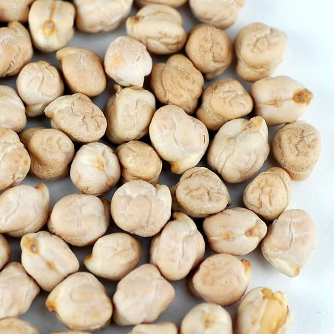 Dried Garbanzo Beans- Organic Sprouting Seeds - 1 Lbs - Handy Pantry Brand - Dry Garbonzo Bean / Seeds - For Planting, Gardening, Hummus, Cooking, Food Storage, Sprouts Product Name