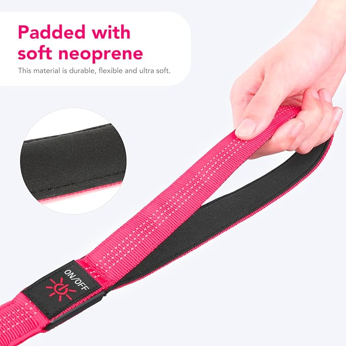 Colaseeme Light Up Dog Leash, LED Pet Leashes USB Rechargeable, Glow Safety Dogs Lights at Night (4FT,Pink)