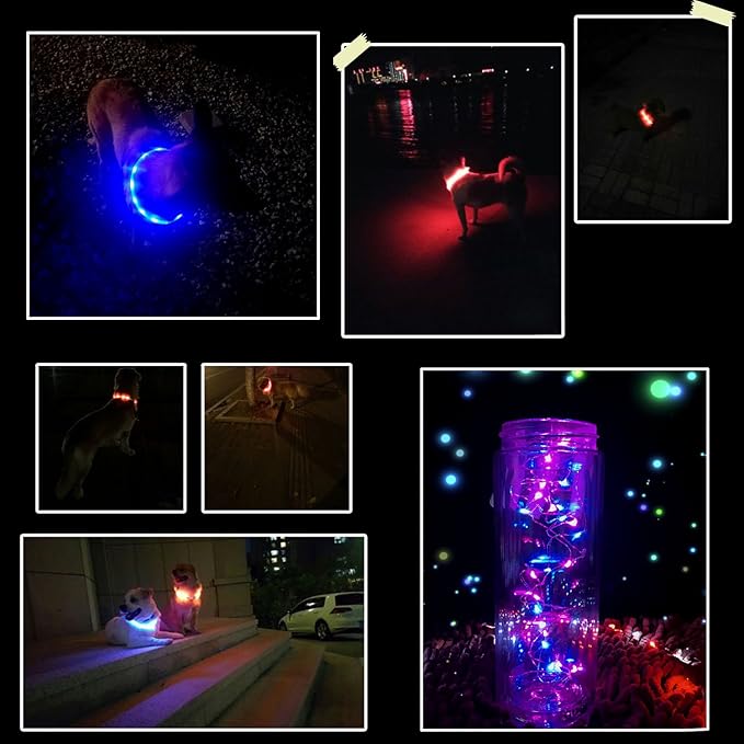 2 Pack LED Dog Collar, Rechargeable Light Up Dog Collars, Dog Collar for Night Walking, Improved Dog Safety & Visibility at Night, 3 Flashing Modes,LED Lights Fits for Small Medium Large Dogs