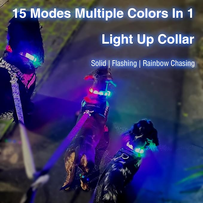 Led Dog Collar Rechargeable USB-C, Super Bright Multi-Color Light Up Collar, Weatherproof Lighted Safety Dog Collar Light for Night Walking,Size Cuttable for Large Medium Small Dogs