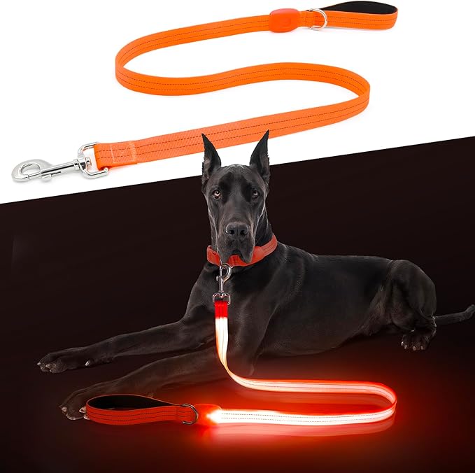 LED Dog Leash, Light Up Dog Leash 4 Ft USB Rechargeable Waterproof, Nylon Reflective Leashes with Padded Handle for Dogs Night Walking Light, Safety Glow in The Dark for Large Medium Pets (Orange)