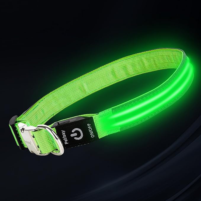 LED Dog Collar with Metal Buckle - USB Rechargeable Glow Collar for Dogs, Waterproof Light Up Dog Collar w/Reflective Strips - Adjustable Night Safety Collars by PetIsay(Green, Small)