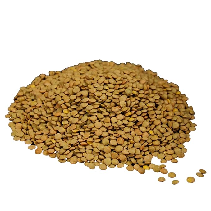 Wheatland™ Lentils • 20lb • Mylar, Oxygen Absorber and Bucket Provide 25 Year Shelf Life • Lab Tested ISO 17025 Verified Chemical-Free • Never Irradiated, No Desiccants and Non GMO • High Trust Seller • Emergency Food Storage• Wheatland 40 Year Legacy