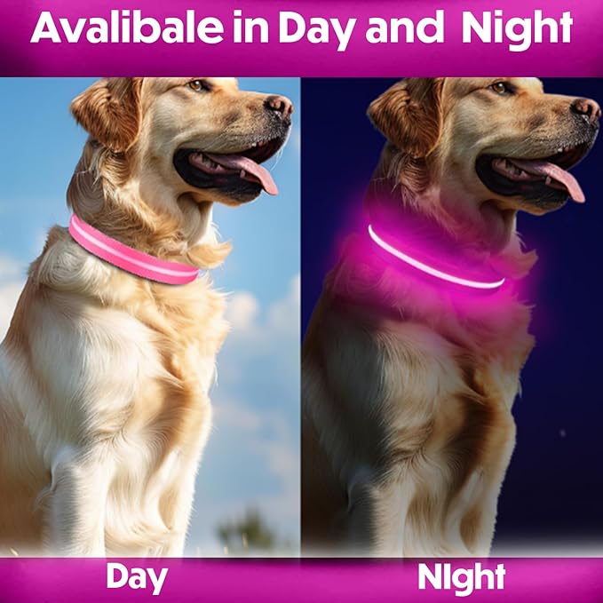 Light Up Dog Collar – Reflective, Adjustable & Rechargeable Electronic Glow Pet Collars – Bright, Comfortable, High Visibility LED Dog Collar for Night Safety, Outdoor Walk & Flashing Fun, Pink, Large