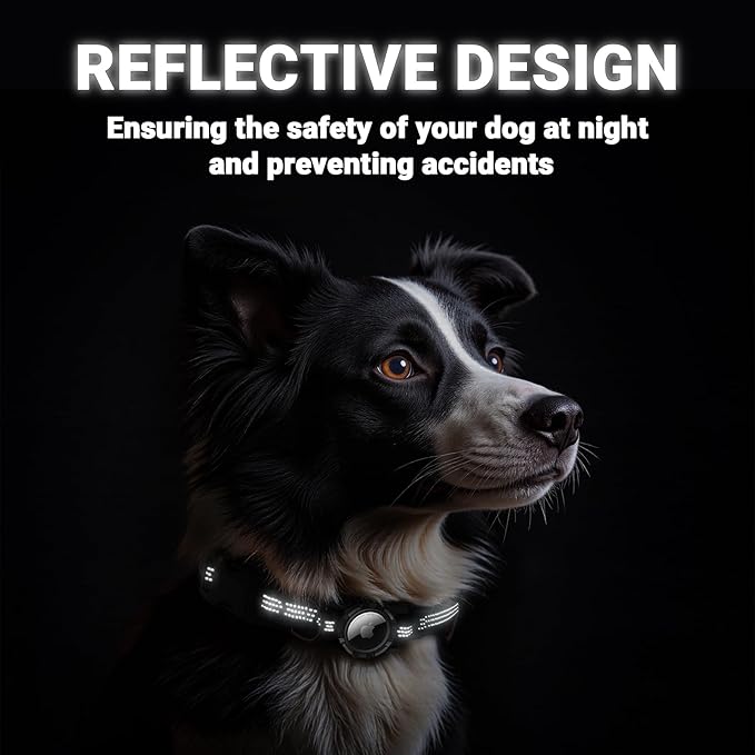 AirTag Dog Collar and Leash, IP68 Waterproof Integrated with Reflective, Ultra-Durable, Comfortable Padded, Heavy Duty Dog Collars for Small Medium Large Dogs, S (10.6"-13.6"), Black