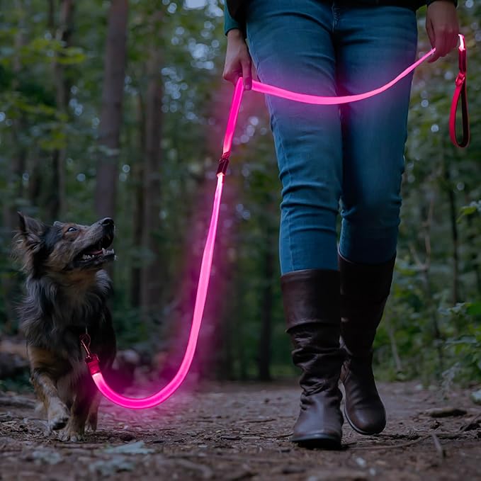 Colaseeme Light Up Dog Leash, LED Pet Leashes USB Rechargeable, Glow Safety Dogs Lights at Night (6FT,Pink)