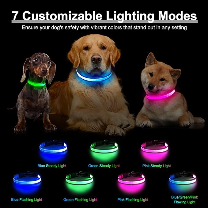 Light Up Dog Collar, Multicolor LED Dog Collar with 7 Modes, USB-C Rechargeable Reflective Glow Collar, Waterproof & Adjustable Design with Battery Indicator for Safe Night Walks (Small)