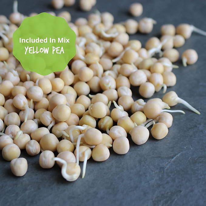 Organic Sprouting Seeds - Handy Pantry Sweet Protein Mix 8 oz. - Fava Bean, Mung Bean, & Yellow Pea Seeds - High Protein Food for Daily Health or Food Storage - Easy and Delicious Organic Sprout Seeds