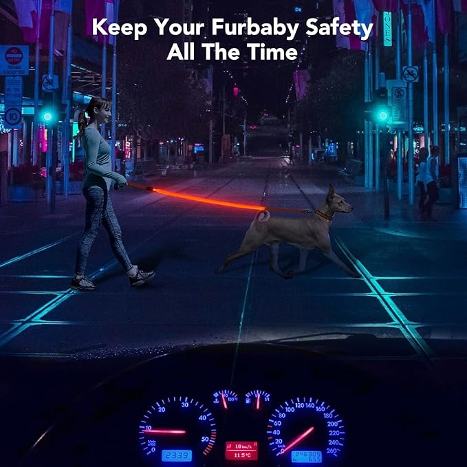 Colaseeme Light Up Dog Leash, LED Pet Leashes USB Rechargeable, Glow Safety Dogs Lights at Night (4FT,Red)
