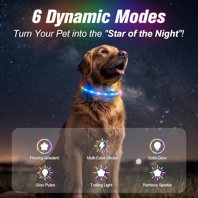 LED Dog Collar, Light Up Dog Collar, USB Rechargeable - Brightest Dog Lights for Night Walking, 6 Light Modes, Adjustable for Dog Safety(Small, Royal Blue)