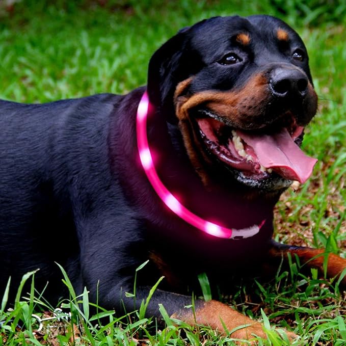 LED Dog Collar,USB Rechargeable Glowing Dog Collars, Light Up Collar Improved Pet Safety &Visibility at Night, 3 Flashing Modes,Water-Resistant LED Lighted Fits for Small Medium Large Dogs