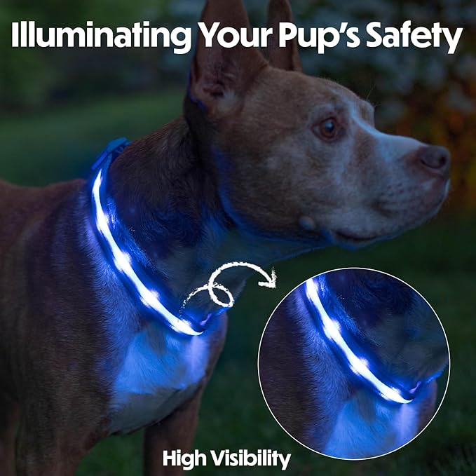 Light Up Dog Collar – Reflective, Adjustable & Rechargeable Electronic Glow Pet Collars – Bright, Comfortable, High Visibility LED Dog Collar for Night Safety, Outdoor Walk & Flashing Fun, Blue, Small